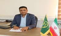  سرشماری زنبورستان‌های جنوب کرمان آغاز شد
